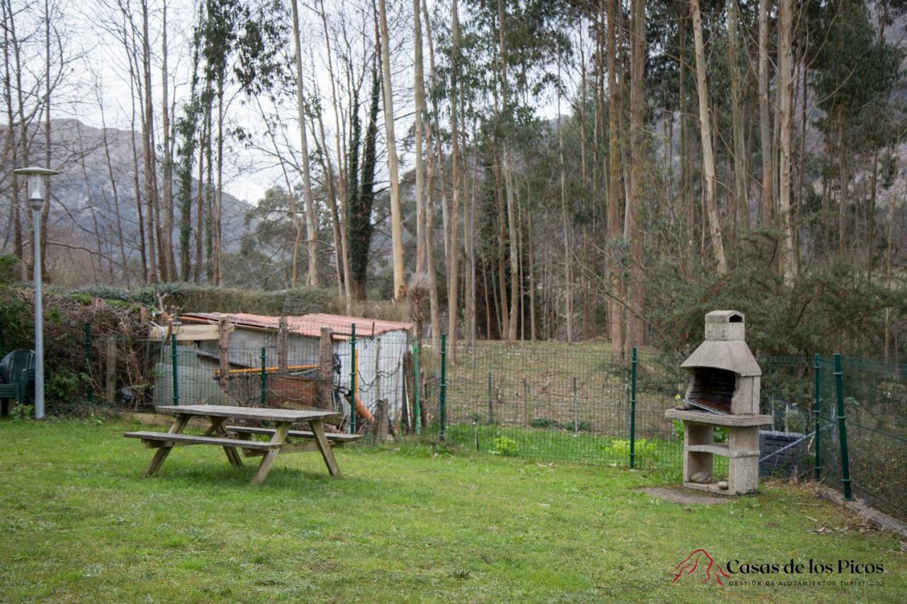 Apartamento El Soplao - Casas De Los Picos Celis Buitenkant foto